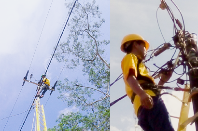 Technical Services